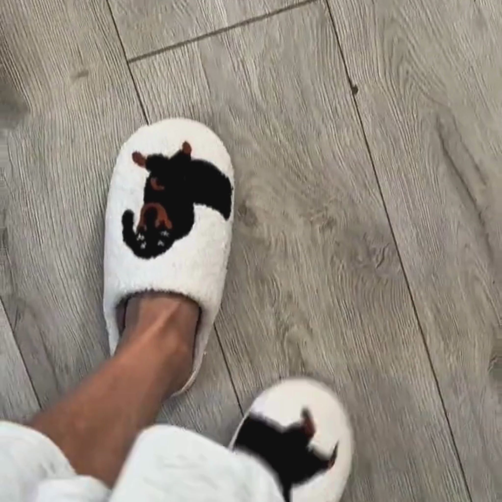 Slippers - Daschhund Comfy